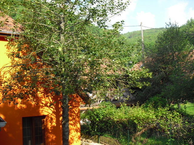 Gite S'Hiesla Rammersmatt Room photo